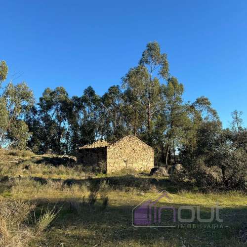 🌳 Terreno com 10 ha, Murado, com Casa Rústica em Pedra – Próximo de Escalos de Cima, Castelo Branco
