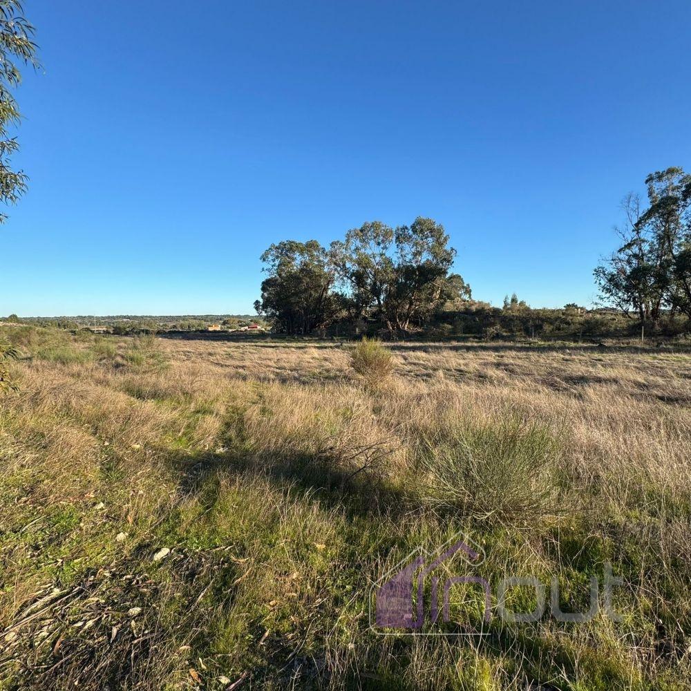 🌳 Terreno com 10 ha, Murado, com Casa Rústica em Pedra – Próximo de Escalos de Cima, Castelo Branco