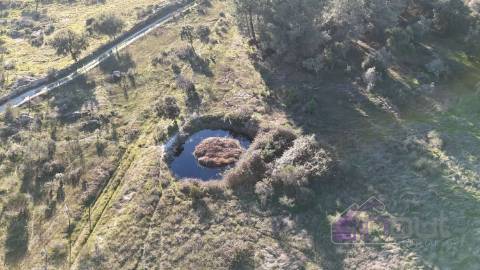 🌳 Terreno com 10 ha, Murado, com Casa Rústica em Pedra – Próximo de Escalos de Cima, Castelo Branco