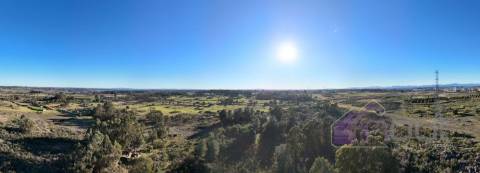 🌳 Terreno com 10 ha, Murado, com Casa Rústica em Pedra – Próximo de Escalos de Cima, Castelo Branco