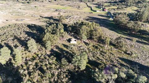 🌳 Terreno com 10 ha, Murado, com Casa Rústica em Pedra – Próximo de Escalos de Cima, Castelo Branco