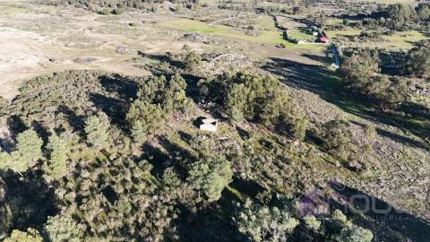 🌳 Terreno com 10 ha, Murado, com Casa Rústica em Pedra – Próximo de Escalos de Cima, Castelo Branco