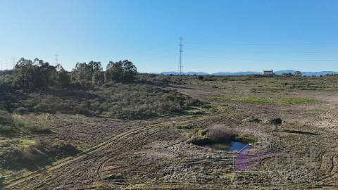 🌳 Terreno com 10 ha, Murado, com Casa Rústica em Pedra – Próximo de Escalos de Cima, Castelo Branco