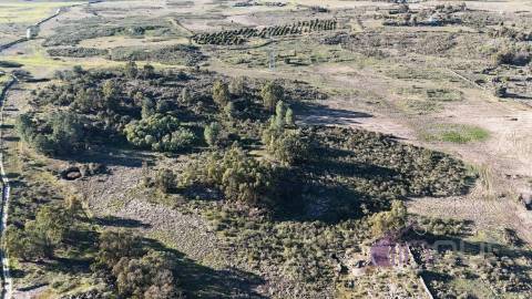 🌳 Terreno com 10 ha, Murado, com Casa Rústica em Pedra – Próximo de Escalos de Cima, Castelo Branco