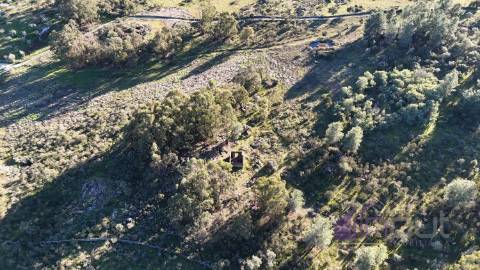 🌳 Terreno com 10 ha, Murado, com Casa Rústica em Pedra – Próximo de Escalos de Cima, Castelo Branco