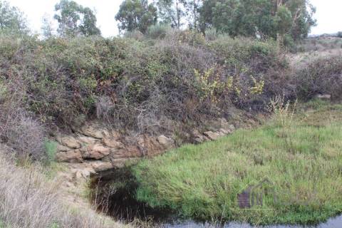 🌳 Terreno com 10 ha, Murado, com Casa Rústica em Pedra – Próximo de Escalos de Cima, Castelo Branco