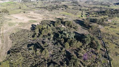 🌳 Terreno com 10 ha, Murado, com Casa Rústica em Pedra – Próximo de Escalos de Cima, Castelo Branco