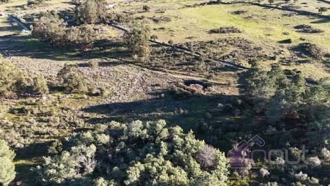 🌳 Terreno com 10 ha, Murado, com Casa Rústica em Pedra – Próximo de Escalos de Cima, Castelo Branco