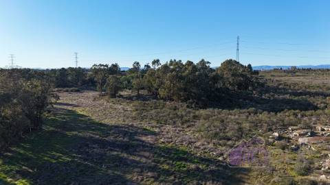 🌳 Terreno com 10 ha, Murado, com Casa Rústica em Pedra – Próximo de Escalos de Cima, Castelo Branco