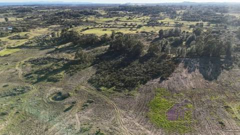 🌳 Terreno com 10 ha, Murado, com Casa Rústica em Pedra – Próximo de Escalos de Cima, Castelo Branco