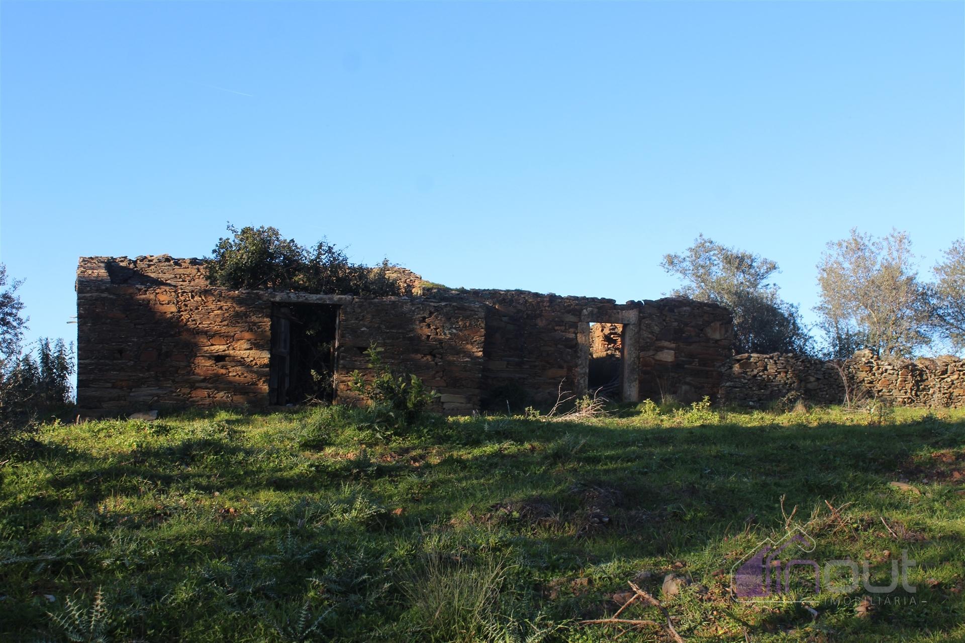 🌿 Terreno Rústico para Venda – Um Refúgio Natural perto de Belgais! 🌿