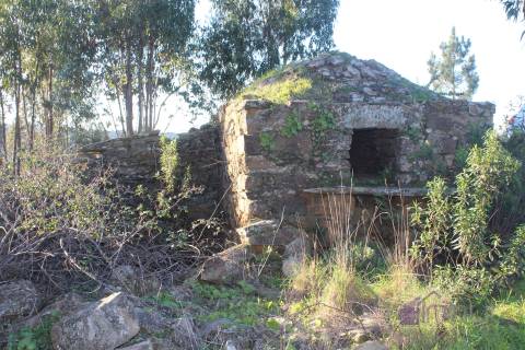 🌿 Terreno Rústico para Venda – Um Refúgio Natural perto de Belgais! 🌿