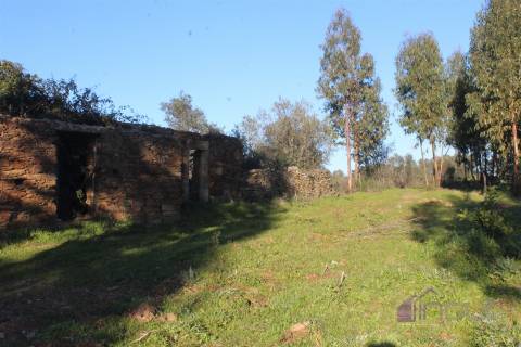🌿 Terreno Rústico para Venda – Um Refúgio Natural perto de Belgais! 🌿