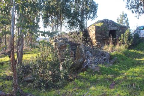🌿 Terreno Rústico para Venda – Um Refúgio Natural perto de Belgais! 🌿