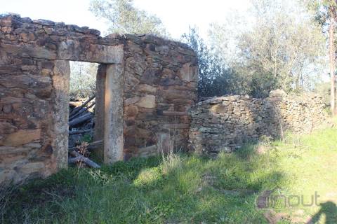 🌿 Terreno Rústico para Venda – Um Refúgio Natural perto de Belgais! 🌿
