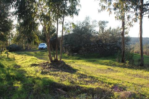 🌿 Terreno Rústico para Venda – Um Refúgio Natural perto de Belgais! 🌿