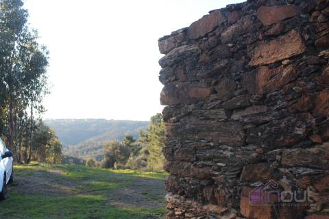 🌿 Terreno Rústico para Venda – Um Refúgio Natural perto de Belgais! 🌿