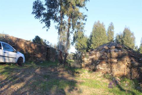 🌿 Terreno Rústico para Venda – Um Refúgio Natural perto de Belgais! 🌿