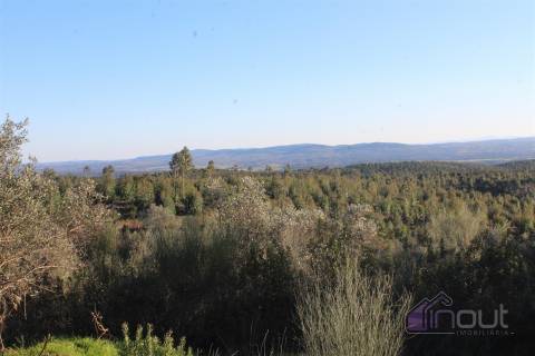 🌿 Terreno Rústico para Venda – Um Refúgio Natural perto de Belgais! 🌿