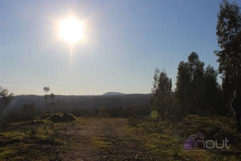 🌿 Terreno Rústico para Venda – Um Refúgio Natural perto de Belgais! 🌿