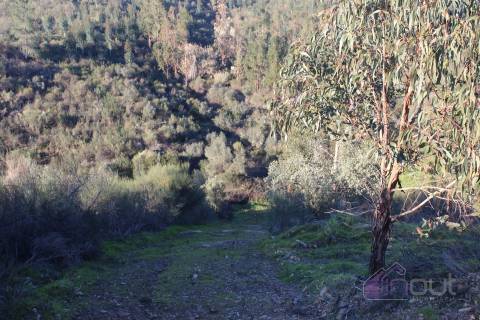 🌿 Terreno Rústico para Venda – Um Refúgio Natural perto de Belgais! 🌿