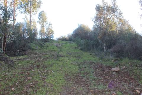 🌿 Terreno Rústico para Venda – Um Refúgio Natural perto de Belgais! 🌿