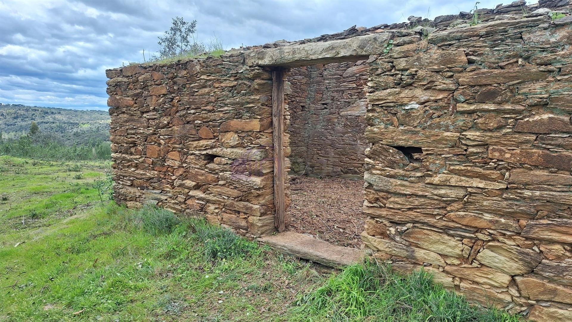 🌿 Terreno Rústico para Venda – Um Refúgio Natural perto de Belgais! 🌿