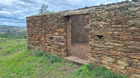 🌿 Terreno Rústico para Venda – Um Refúgio Natural perto de Belgais! 🌿