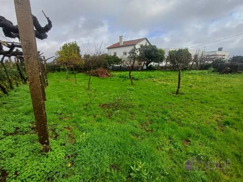 Moradia T3 Venda em Cernache do Bonjardim, Nesperal e Palhais,Sertã