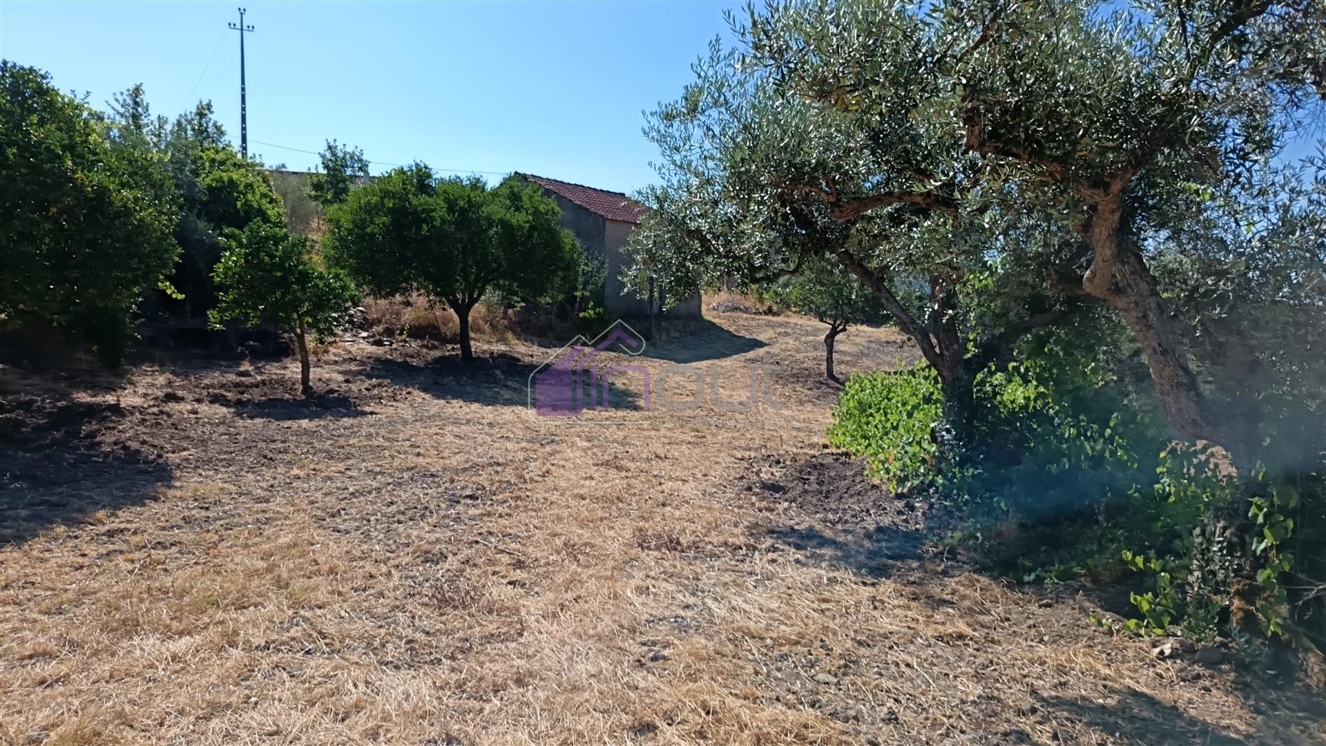 🏡 Moradia T3 com Quintal – Sarzedas, Castelo Branco