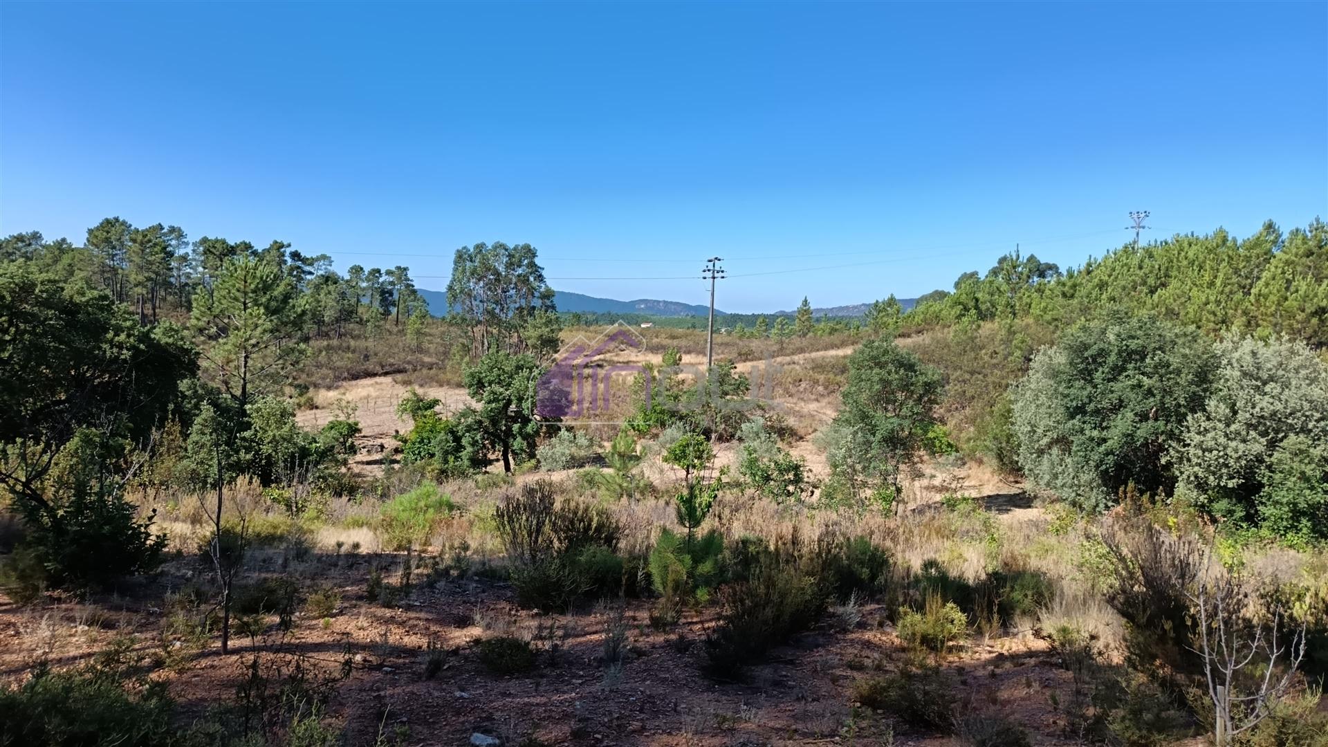 🏡 Moradia T3 com Quintal – Sarzedas, Castelo Branco