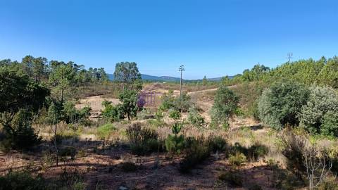 🏡 Moradia T3 com Quintal – Sarzedas, Castelo Branco