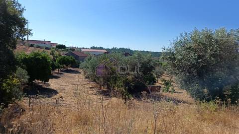 🏡 Moradia T3 com Quintal – Sarzedas, Castelo Branco