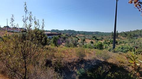 🏡 Moradia T3 com Quintal – Sarzedas, Castelo Branco