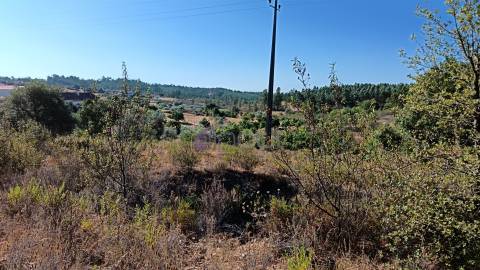 🏡 Moradia T3 com Quintal – Sarzedas, Castelo Branco