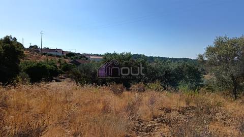 🏡 Moradia T3 com Quintal – Sarzedas, Castelo Branco