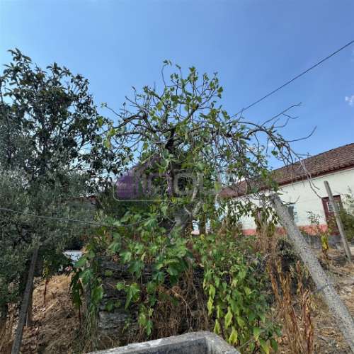 🏡 Moradia T3 com Quintal – Sarzedas, Castelo Branco