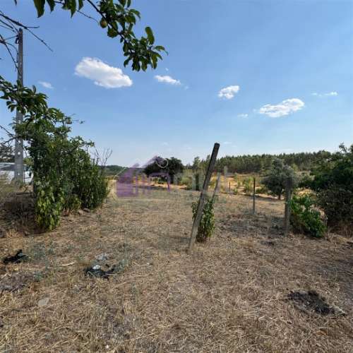 🏡 Moradia T3 com Quintal – Sarzedas, Castelo Branco