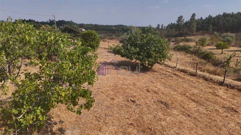 🏡 Moradia T3 com Quintal – Sarzedas, Castelo Branco