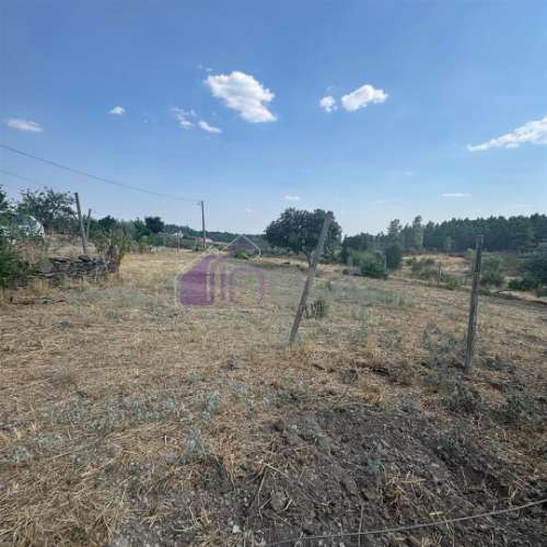 🏡 Moradia T3 com Quintal – Sarzedas, Castelo Branco