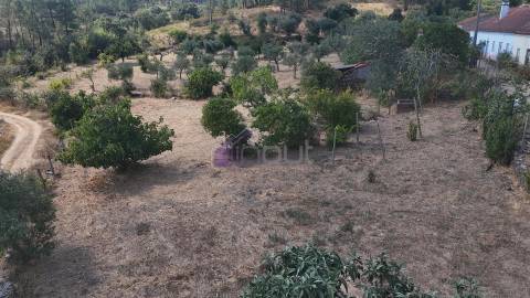 🏡 Moradia T3 com Quintal – Sarzedas, Castelo Branco