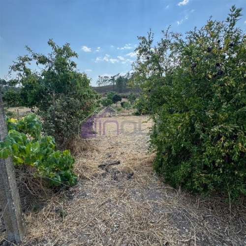 🏡 Moradia T3 com Quintal – Sarzedas, Castelo Branco