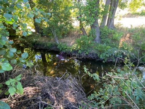 🌳 Quintinha com 6.140 m² em Louriçal do Campo – Um refúgio entre a serra e o rio! 🏞️