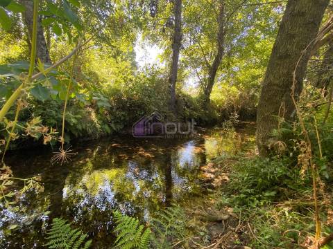 🌳 Quintinha com 6.140 m² em Louriçal do Campo – Um refúgio entre a serra e o rio! 🏞️
