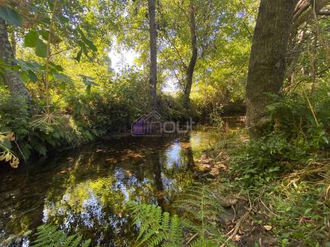 🌳 Quintinha com 6.140 m² em Louriçal do Campo – Um refúgio entre a serra e o rio! 🏞️