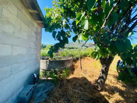 🌳 Quintinha com 6.140 m² em Louriçal do Campo – Um refúgio entre a serra e o rio! 🏞️