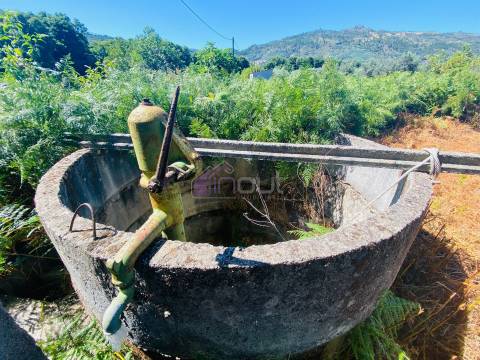🌳 Quintinha com 6.140 m² em Louriçal do Campo – Um refúgio entre a serra e o rio! 🏞️
