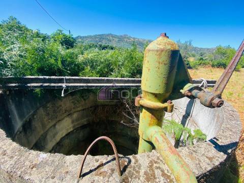 🌳 Quintinha com 6.140 m² em Louriçal do Campo – Um refúgio entre a serra e o rio! 🏞️
