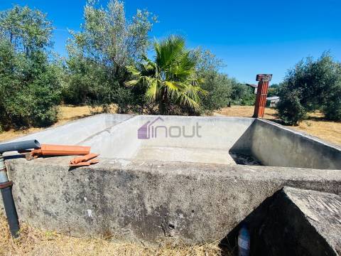 🌳 Quintinha com 6.140 m² em Louriçal do Campo – Um refúgio entre a serra e o rio! 🏞️