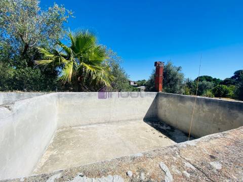 🌳 Quintinha com 6.140 m² em Louriçal do Campo – Um refúgio entre a serra e o rio! 🏞️